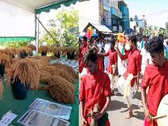 பளபளவென 174 வகையான பாரம்பரிய நெல் வகைகள்... தொடங்கியது 16வது ஆண்டு தேசிய நெல் திருவிழா!