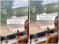 Watch: परीक्षा की तैयारी कर रही बहन को भाई ने ऐसे किया परेशान, यूजर्स को आई अपने बचपन की याद