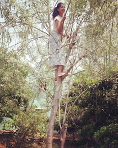 Bigg Boss Telugu OTT Bindu Madhavi: మునగ చెట్టెక్కిన బిందుమాధవి