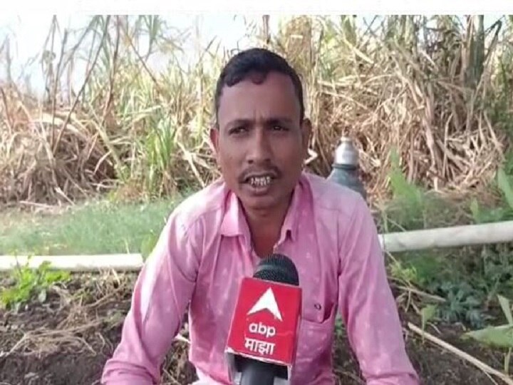 Sugarcane : 17 महिने पूर्ण झाले तरी उसाला तोड नाही, वसमत तालुक्यात 2 कारखाने असूनही अतिरीक्त उसाचा प्रश्न