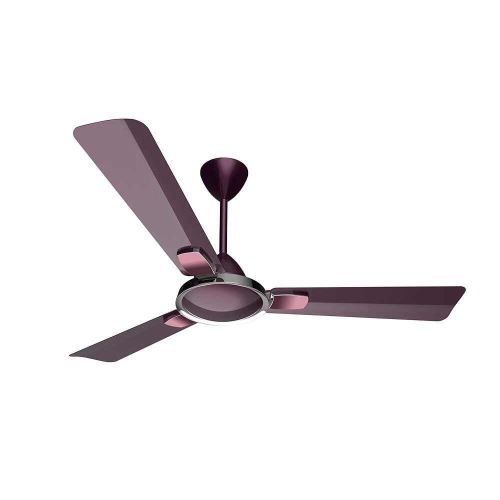 Smart Ceiling Fan: एंटी डस्ट सीलिंग फैन की सबसे सस्ती डील, खरीदें 70 फीसदी तक के डिस्काउंट पर