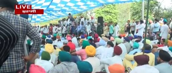 ਸੂਬੇ ਭਰ ਦੇ ਦੁੱਧ ਉਤਪਾਦਕਾਂ ਨੇ ਵੇਰਕਾ ਪਲਾਂਟ ਬਾਹਰ ਲਾਇਆ ਧਰਨਾ, ਦੁੱਧ ਦੇ ਰੇਟ ਵਧਾਉਣ ਦੀ ਕੀਤੀ ਮੰਗ