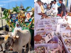 174 வகையான பாரம்பரிய நெல் வகைகள்... தொடங்கியது 16வது ஆண்டு தேசிய நெல் திருவிழா!