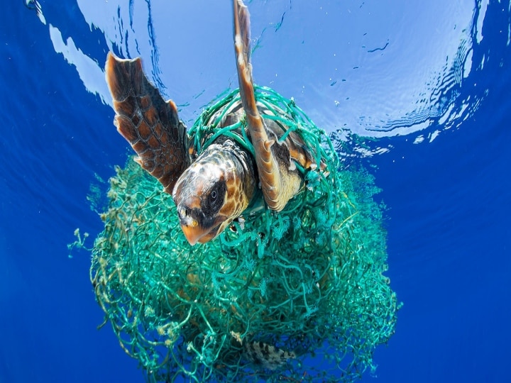 Say No To Plastic : 'ஆக்கும் அறிவியல் அழிக்கவும் செய்யும்' பிளாஸ்டிக் பிடியில் சிக்கித் தவிக்கும் உலகம்..!