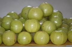 Amla Benefits: ওজন কমানো থেকে, রক্তাল্পতা দূর, একাধিক উপকার করে আমলকি