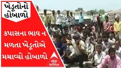 છોટાઉદેપુરમાં કપાસના ભાવ ન મળતા ખેડૂતોએ મચાવ્યો હોબાળો, જુઓ વીડિયો