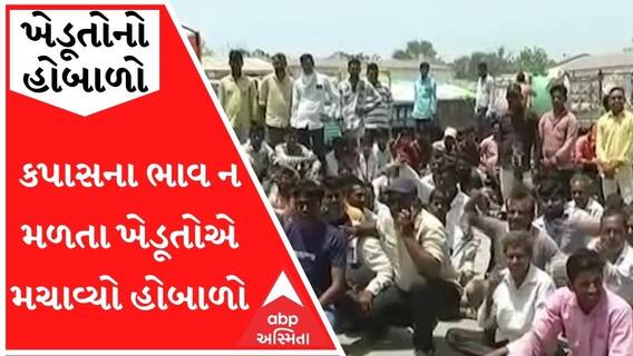 છોટાઉદેપુરમાં કપાસના ભાવ ન મળતા ખેડૂતોએ મચાવ્યો હોબાળો, જુઓ વીડિયો