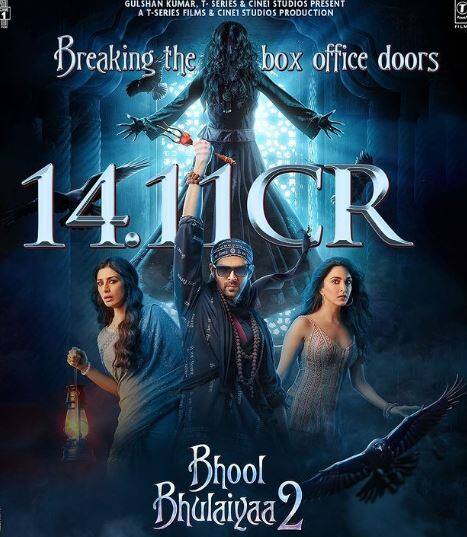 इसका निर्देशन अनीज बज्मी ने किया है, ये 'वेलकम', 'नो एंट्री' और 'रेडी' जैसी हिट कॉमेडी फिल्में देने के लिए जाने जाते हैं.