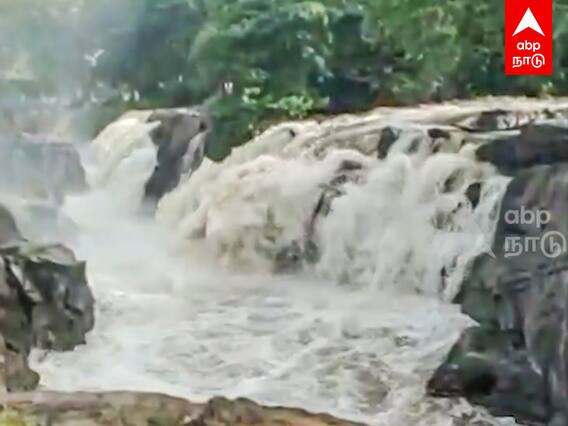 Hogenakkal Falls Flood : முதல்முறையாக கோடையில் வெள்ளப்பெருக்கு..ஆர்ப்பரிக்கும் ஒகேனக்கல் அருவி
