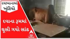 હળવદઃ પ્રાથમિક આરોગ્ય કેન્દ્રના દવાના રૂમમાં ઘૂસી ગયો સાંઢ, થઈ ગઈ દોડાદોડી