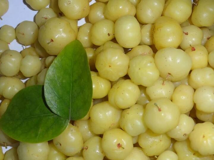 আমলকির রস দৃষ্টিশক্তি বাড়াতে সাহায্য করে। এ ছাড়াও চোখের বিভিন্ন সমস্যা যেমন চোখের প্রদাহ, চোখ চুলকানি বা জল পড়ার সমস্যা থেকে রেহাই দেয়।