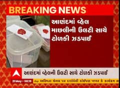 આણંદમાં વ્હેલ માછલીની ઉલટી સાથે ટોળકી ઝડપાઇ