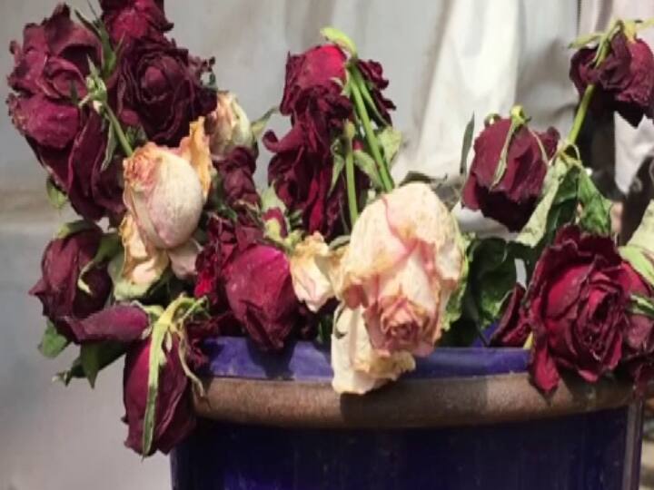 भीषण गर्मी के चलते यूपी के मेरठ (Meerut) में फूल व्यापरियों को फूलों के रखरखाव में परेशानियों का सामना करना पड़ रहा है.