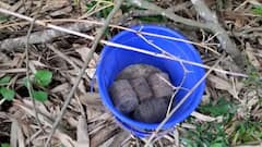 Murshidabad: মুর্শিদাবাদের খড়গ্রামে মাঠের মধ্যে মিলল তাজা বোমা ।Bangla New