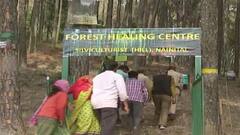 Forest Healing Centre: रानीखेत में वन-स्नान से तन और मन दोनों स्वस्थ । Kya Baat Hai