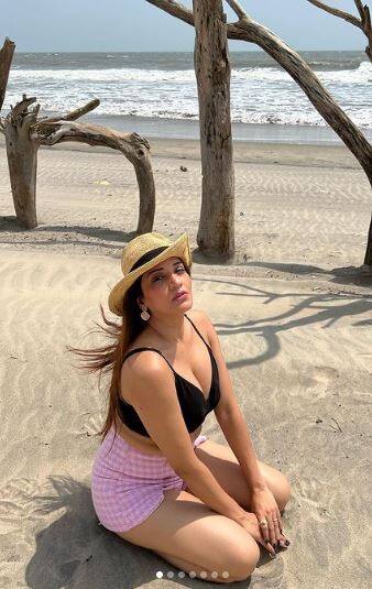 ਕਾਲੇ ਰੰਗ ਦੀ ਡਰੈੱਸ 'ਚ ਮੋਨਾਲੀਸਾ ਨੇ ਢਾਹਿਆ ਕਹਿਰ