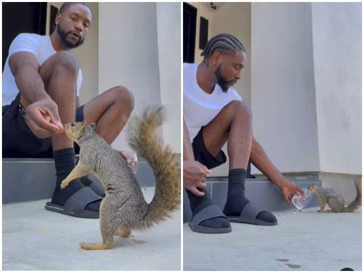 Man feeds squirrels in cute viral video Watch: गिलहरियों को खाना खिलाते इस शख्स का वीडियो क्यों हो रहा है वायरल, देखिए और जानिए