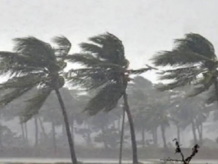 Bihar Weather Report: तेज हवाओं के साथ पूरे बिहार में आज बारिश की संभावना, इन जिलों के लिए मौसम विभाग ने जारी किया अलर्ट Bihar weather report chances of rain in all districts of bihar on Sunday with strong winds ann Bihar Weather Report: तेज हवाओं के साथ पूरे बिहार में आज बारिश की संभावना, इन जिलों के लिए मौसम विभाग ने जारी किया अलर्ट