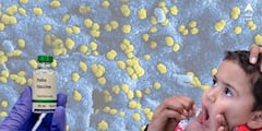 Wild Poliovirus: ৩০ বছর পর ফিরল পোলিওর বিভীষিকা, মোজাম্বিকে আক্রান্ত এক শিশু, প্রকোপ আফ্রিকার একাধিক দেশে