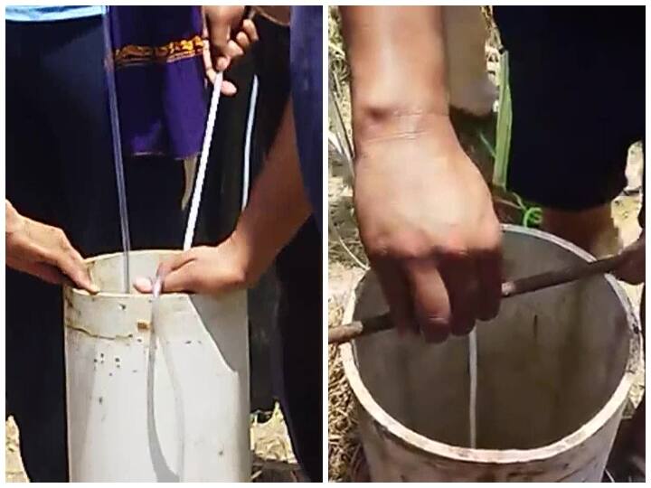 6 year old boy died took out from the bore well in hoshiarpur village in pujab ann Punjab News: होशियारपुर में बोरवेल में गिरे 6 साल के बच्चे की नहीं बचाई जा सकी जान, अस्पताल में हुई मौत