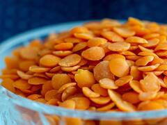 Lentils Benefit: ত্বকের যত্নে ম্যাজিক দেখাতে পারে মুসুর ডাল? কীভাবে ব্যবহারে মিলবে সুফল?