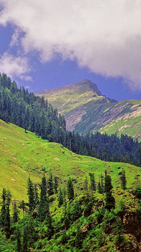 இந்த இடங்களை மிஸ் பண்ணிடாதீங்க.. ஊர் சுற்றலாம் வாங்க!