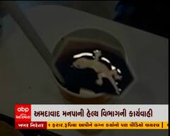 સોલાની મેકડોનાલ્ડમાં કોકમાંથી ગરોળી મળતા હેલ્થ વિભાગની કાર્યવાહી