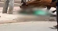 આણંદ: રખડતાં ઢોરનો કહેર, ગાયે મહિલાને કચડી નાખી, જુઓ દર્દનાક દ્વશ્યોનો વીડિયો