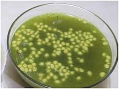 Kitchen Hacks: गर्मी में मूड को बनाए फ्रेश, घर पर बनाकर पिएं गोलगप्पे का पानी, जानिए रेसिपी