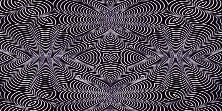 Optical Illusion brain game what you see in first glance Optical Illusion: চোখ ধাঁধানো ছবিতে লুকিয়ে বিড়াল-হরিণ? আপনি দেখতে পাচ্ছেন?