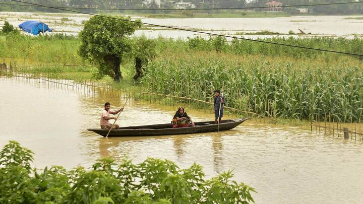 টানা অনেকদিন ধরে বৃষ্টির কারণেই বন্যা পরিস্থিতি তৈরি হয়েছে অসমে। উপচে পড়েছে ব্রক্ষ্মপুত্র নদ ও অসমের অন্যান্য নদী। ছবি: পিটিআই