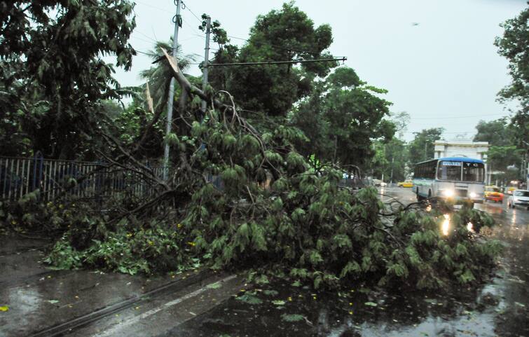 west bengal kalbaisakhi weather updates bongaon thunderstorm area thrashed Kalbaisakhi: কালবৈশাখীর তাণ্ডবে তছনছ বনগাঁ, ঝড়ের তাণ্ডবে বিদ্যুৎ বিছিন্ন এলাকা