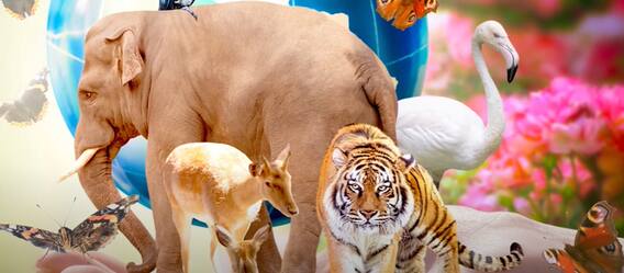 International Biodiversity Day| Building A Shared Future For All Life| జీవవైవిధ్య దినోత్సవం 2022