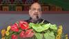 Amit Shah on Rahul: ગૃહમંત્રી અમિત શાહે રાહુલ પર કર્યા પ્રહાર, કહ્યું ઇટાલિયન ચશ્માં ઉતારો તો દેખાશે કે 8 વર્ષમાં શું શું થયું