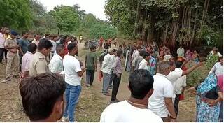 વડોદરા: મહિલાના લગ્નના આઠમા દિવસે જ કરવામાં આવી હત્યા, જાણો વિગતે