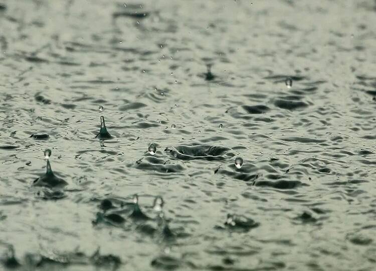 Tamil Nadu and Puducherry will get rain for next 5 days Chennai Metrological Department TN Rain Update: தமிழகத்தில் அடுத்த 5 நாட்களுக்கு மழை பெய்யும் - சென்னை வானிலை மையம் எச்சரிக்கை!