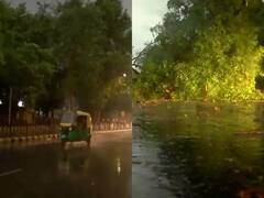 Delhi-NCR Weather Update: दिल्ली-एनसीआर में बदला मौसम का मिजाज, आंधी में उखड़े पेड़, ऑरेंज अलर्ट जारी