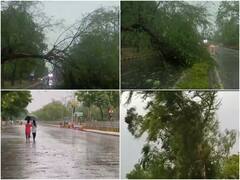 Delhi-NCR Weather: दिल्ली-एनसीआर में बदला मौसम, IMD ने जारी की ये एडवाइजरी, जानें- क्या कहा?