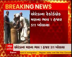 સૌરાષ્ટ્રમાં એરંડાના ભાવમાં જબરદસ્ત ઉછાળો, કપાસ બાદ એરંડાના ભાવ પહોંચ્યા આસમાને