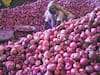 Onion Price: प्याज की कीमतों में लगातार गिरावट से किसान परेशान, 1 रुपये किलो तक बेचने पर मजबूर हुआ किसान