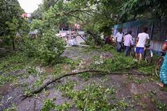 Heavy Rain: दिल्ली-एनसीआर में 90 KM की रफ्तार से हवाएं चलने का अनुमान, इन इलाकों के लिए चेतावनी जारी