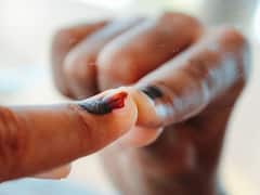 Haryana Local Body Election 2022: Municipal Polls To Be Held On June 19 — Check Details