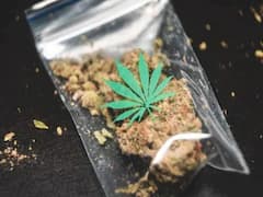 Guntur Ganja Cases : గంజాయి కోసం పోటీ ప‌డుతున్న గుంటూరు ఖాకీలు, లెక్కలు చెప్పిన ఎస్పీ!