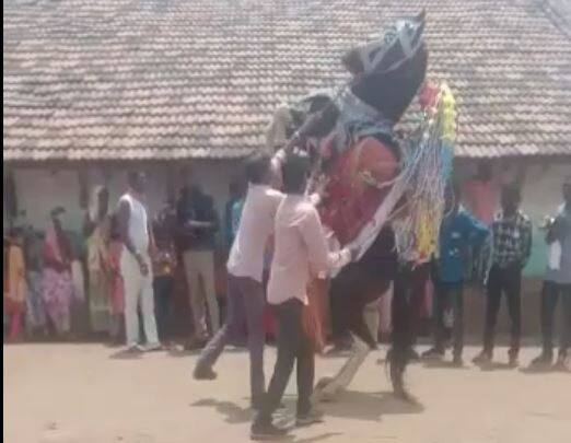 The groom was injured during the wedding in Ghoghawada village વરરાજાને ઘોડે સવારી કરવી પડી ભારે, નાગીન ડાન્સ દરમિયાન ઘોડા પરથી નીચે પટકાયા, જુઓ વીડિયો