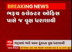 ભરૂચમાં ભારે પવન ફૂંકાતા વૃક્ષ ધરાશાયી