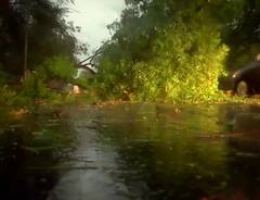 Delhi Rain: दिल्ली-NCR में बारिश से राहत, आंधी बनी आफत, कई जगह उखड़े पेड़, फ्लाइट्स पर भी असर, देखें तस्वीरें