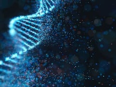 How Are Genetic Mutations Linked To Biological Evolution? New Study Gives Answers
