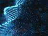 How Are Genetic Mutations Linked To Biological Evolution? New Study Gives Answers