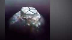Gyanvapi Masjid Shivling : ज्ञानवापी मशिदीतला EXCLUSIVE VIDEO, मशिदीच्या वजूखान्यात कथित शिवलिंग