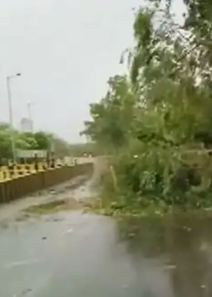 Delhi Rain : दिल्लीकरांची पहाट सुखद गारव्यानं, वादळी वाऱ्यासह जोरदार पाऊस, रस्त्यावर झाडे पडली उन्मळून 